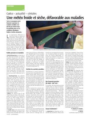 Une météo froide et sèche, défavorable aux maladies Une météo froide et sèche, défavorable aux maladies
