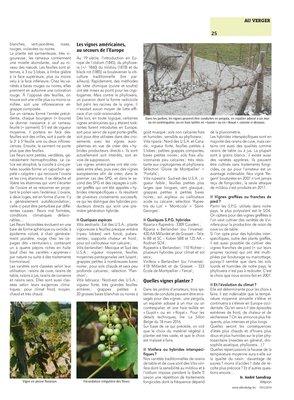 La vigne: de multiples variétésqui régalent petits et grands de leurs baies La vigne: de multiples variétésqui régalent petits et grands de leurs baies