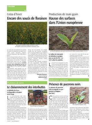 Encore des soucis de floraison Encore des soucis de floraison