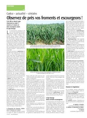 Observez de près vos froments et escourgeons! Observez de près vos froments et escourgeons!