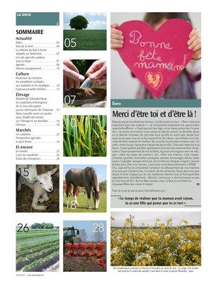 Actualité Actualité