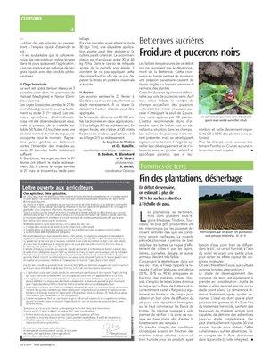 Fin des plantations, désherbage Fin des plantations, désherbage