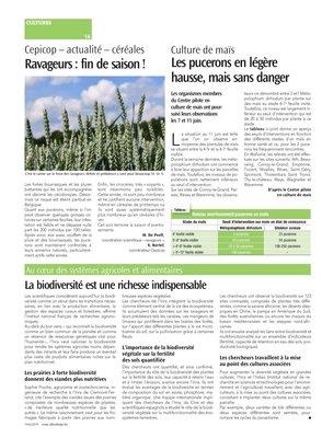 Les pucerons en légère hausse, mais sans danger Les pucerons en légère hausse, mais sans danger