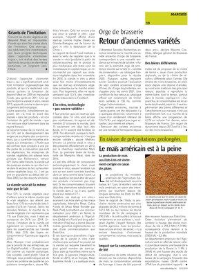 Le maïs américain est à la peine Le maïs américain est à la peine