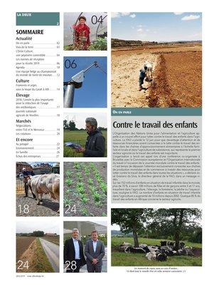 Actualité Actualité