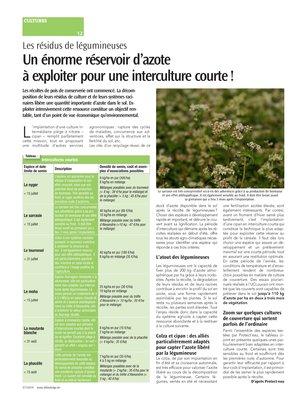 Un énorme réservoir d’azoteà exploiter pour une interculture courte! Un énorme réservoir d’azoteà exploiter pour une interculture courte!