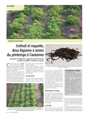 La roquette, en bref La roquette, en bref