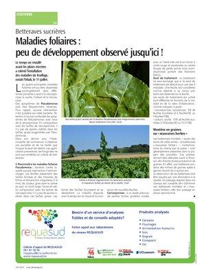Maladies foliaires:peu de développement observé jusqu’ici! Maladies foliaires:peu de développement observé jusqu’ici!