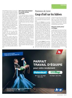 Coup d’œil sur les hâtives Coup d’œil sur les hâtives