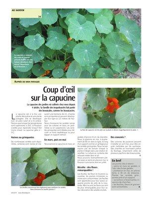 Coup d’œil sur la capucine Coup d’œil sur la capucine