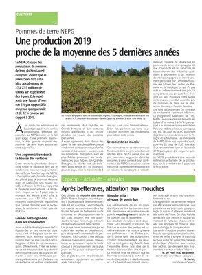 Après betteraves, attention aux mouches Après betteraves, attention aux mouches