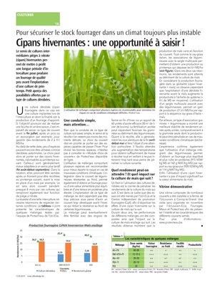 Cipans hivernantes: une opportunité à saisir! Cipans hivernantes: une opportunité à saisir!
