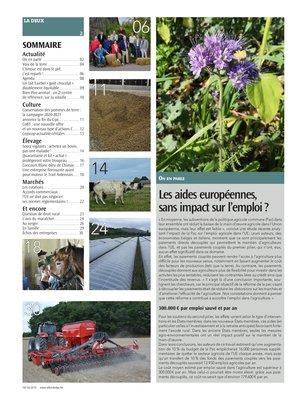 Actualité Actualité