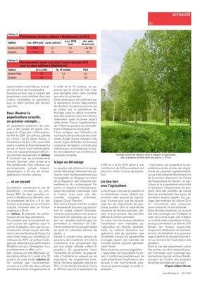 Peuplier, réchauffementclimatique et agriculture Peuplier, réchauffementclimatique et agriculture