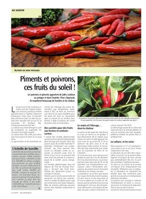 Piments et poivrons,ces fruits du soleil! Piments et poivrons,ces fruits du soleil!