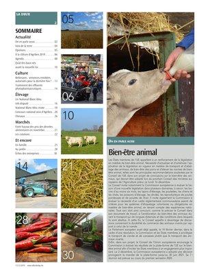 Bien-être animal Bien-être animal