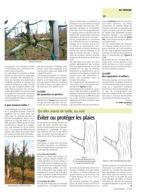 En pratique, pourquoi, quand et comment tailler? En pratique, pourquoi, quand et comment tailler?