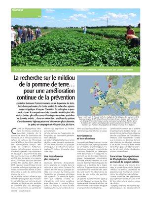 La recherche sur le mildiou de la pomme de terre…pour une améliorationcontinue de la prévention