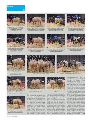 Concours-foire B-BB des provinces de Namur, de Liège et du Brabant wallon