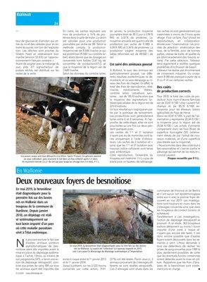 Deux nouveaux foyers de besnoitiose Deux nouveaux foyers de besnoitiose