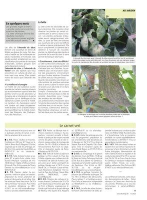 Le carnet vert