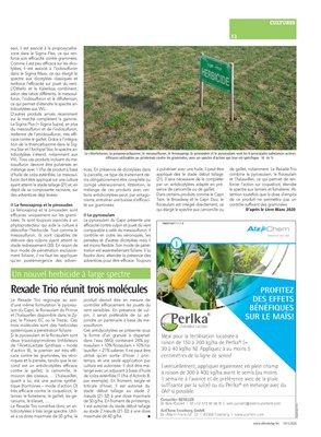 Les traitements printaniers contre les graminées Les traitements printaniers contre les graminées