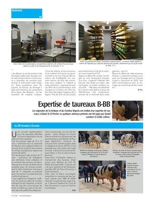 Expertise de taureaux B-BB Expertise de taureaux B-BB