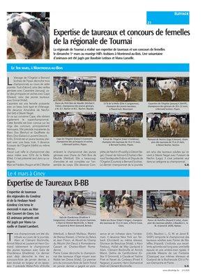 Expertise de Taureaux B-BB Expertise de Taureaux B-BB