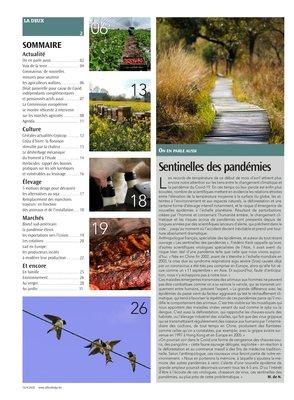 Actualité Actualité