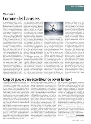 Comme des hamsters Comme des hamsters