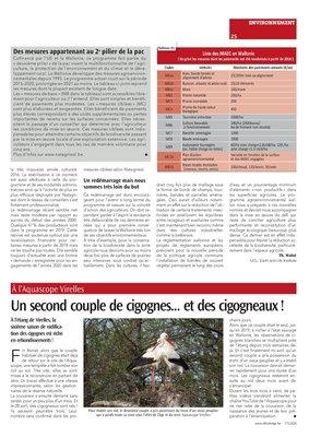 Un second couple de cigognes... et des cigogneaux! Un second couple de cigognes... et des cigogneaux!