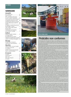 Actualité Actualité