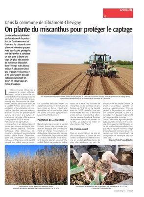 On plante du miscanthus pour protéger le captage