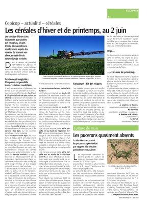 Les pucerons quasiment absents Les pucerons quasiment absents