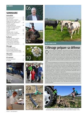 Actualité Actualité