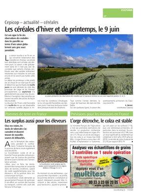 Les céréales d’hiver et de printemps, le 9 juin Les céréales d’hiver et de printemps, le 9 juin