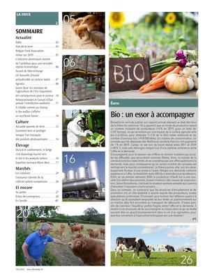 Actualité Actualité