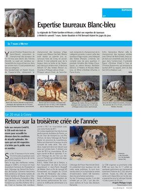 Expertise taureaux Blanc-bleu Expertise taureaux Blanc-bleu