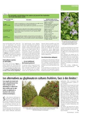 Faire le bon choix d’une interculture courte avant le semis du froment Faire le bon choix d’une interculture courte avant le semis du froment