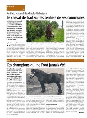 Ces champions qui ne l’ont jamais été Ces champions qui ne l’ont jamais été
