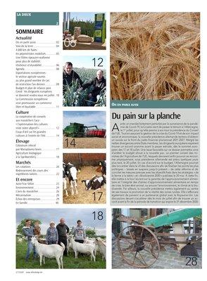 Actualité Actualité