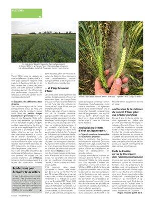 Un éclairage sur les essaismenés par le Centre piloteCepicop, à Gembloux Un éclairage sur les essaismenés par le Centre piloteCepicop, à Gembloux