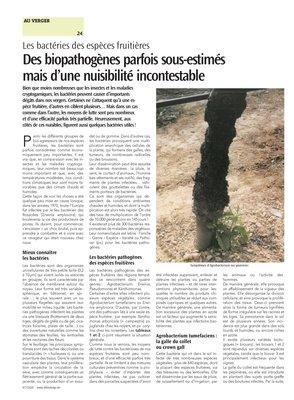 Des biopathogènes parfois sous-estimés mais d’une nuisibilité incontestable Des biopathogènes parfois sous-estimés mais d’une nuisibilité incontestable