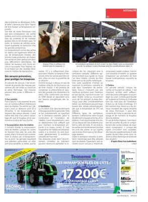 Les températures élevées ont un impact sur la production et le bien-être des animaux Les températures élevées ont un impact sur la production et le bien-être des animaux