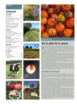 Sur la piste de la saveur Sur la piste de la saveur