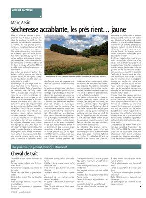 Cheval de trait Cheval de trait