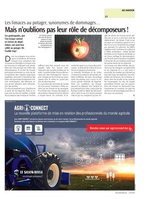 Mais n’oublions pas leur rôle de décomposeurs!