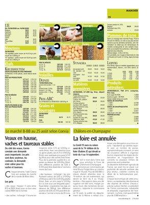 Veaux en hausse,vaches et taureaux stables Veaux en hausse,vaches et taureaux stables