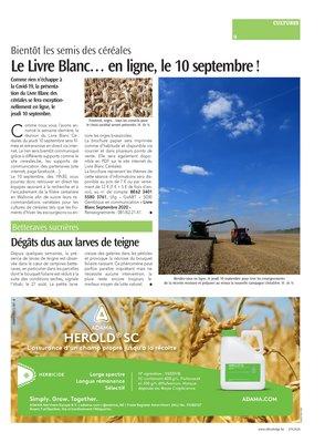 Le Livre Blanc… en ligne, le 10 septembre! Le Livre Blanc… en ligne, le 10 septembre!