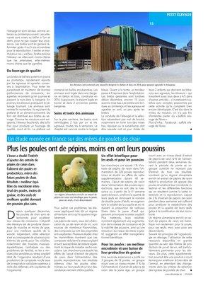 Un agneau exceptionnel au Suffolk Élevage de Nives Un agneau exceptionnel au Suffolk Élevage de Nives